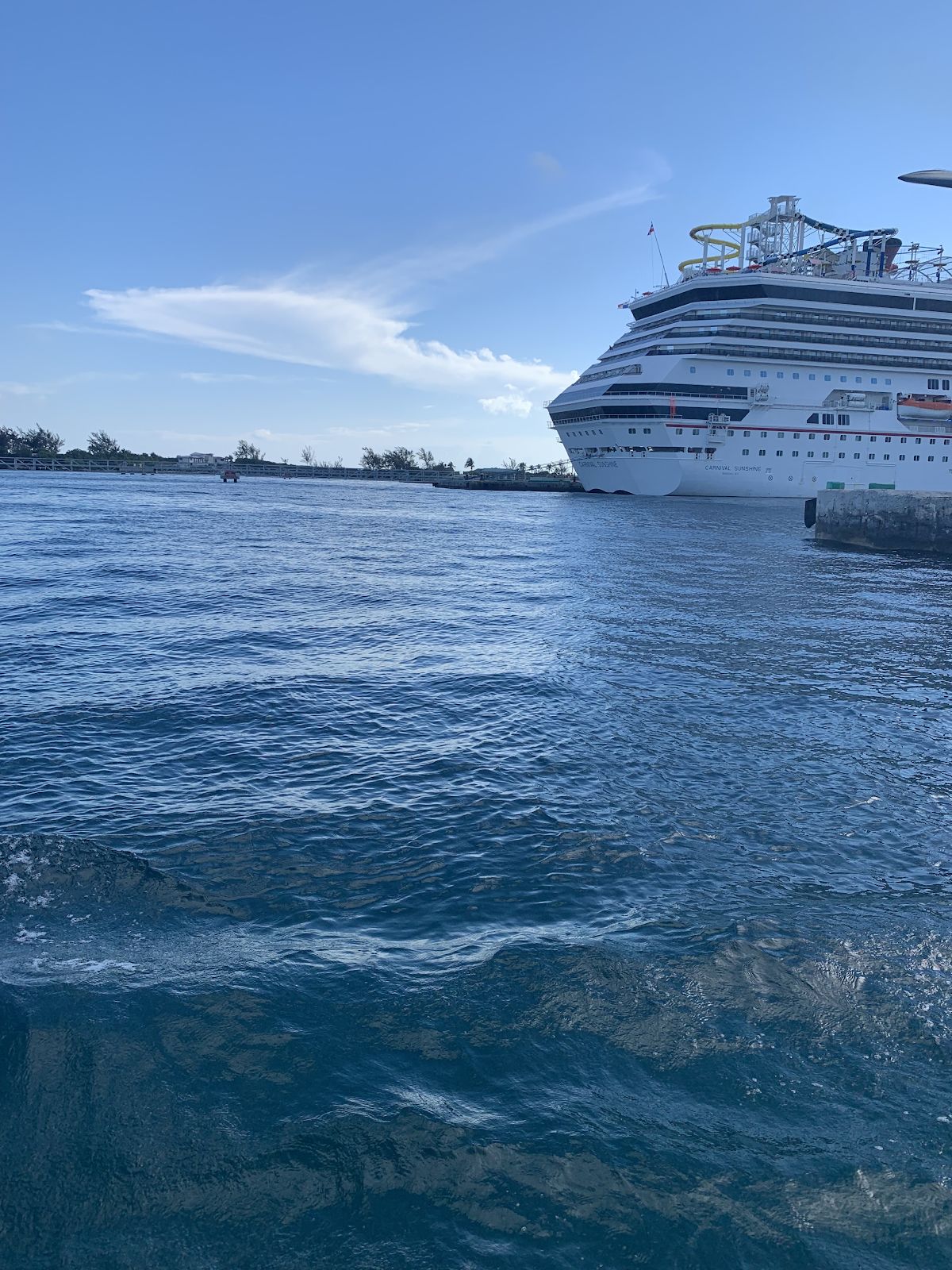 cruise ship side view